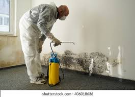 Best Emergency Mold Remediation  in Village Green Green Ridge, PA